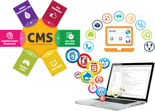 CMS Web Development Company In Delhi / NCR